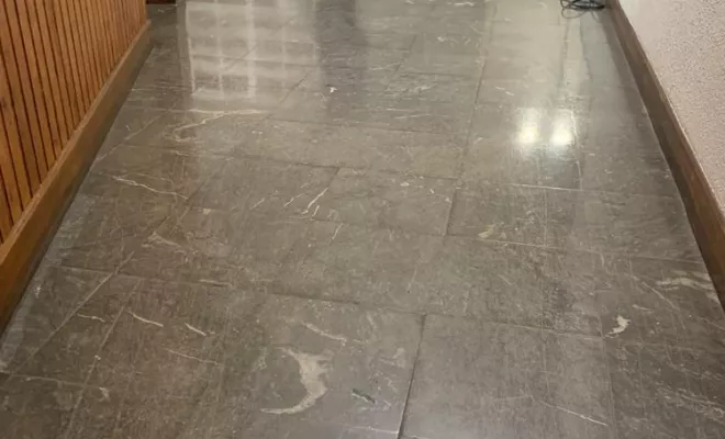 Entreprise de nettoyage, Dax, Wonder Landes