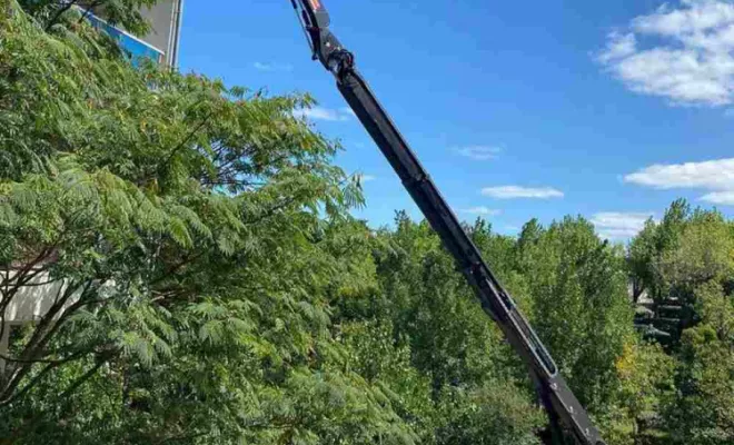 Entreprise de nettoyage, Dax, Wonder Landes